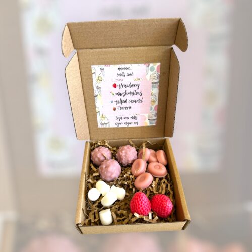 Wax melts gourmet 3