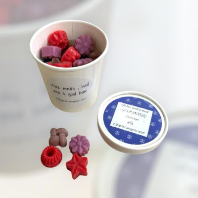 Wax melts MIX ”WINTER''