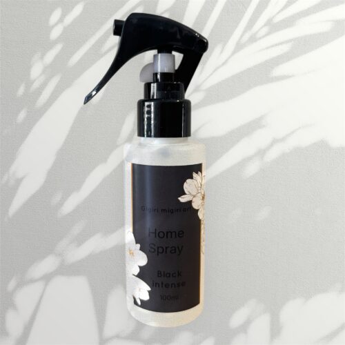 Fabric and Home spray Black intense